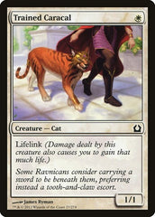 Trained Caracal [Return to Ravnica] | Exor Games Dartmouth