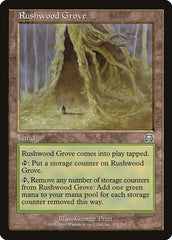 Rushwood Grove [Mercadian Masques] | Exor Games Dartmouth