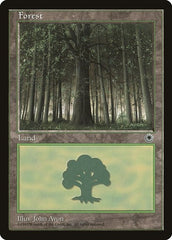 Forest [Portal] | Exor Games Dartmouth