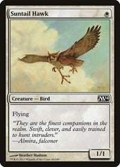 Suntail Hawk [Magic 2014] | Exor Games Dartmouth