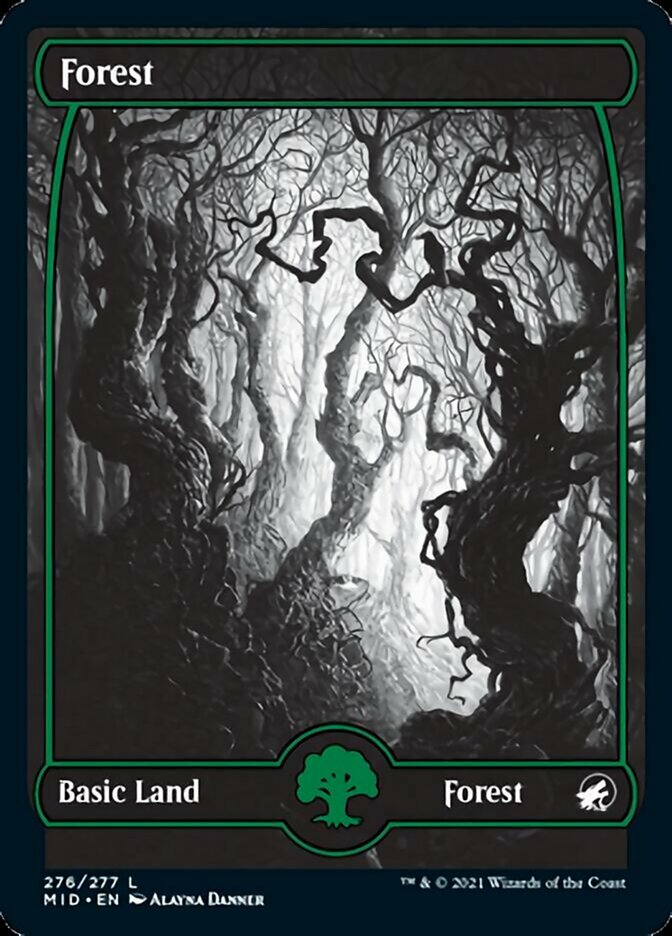 Forest (276) [Innistrad: Midnight Hunt] | Exor Games Dartmouth