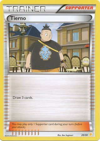 Tierno (20/30) [XY: Trainer Kit 3 - Pikachu Libre] | Exor Games Dartmouth