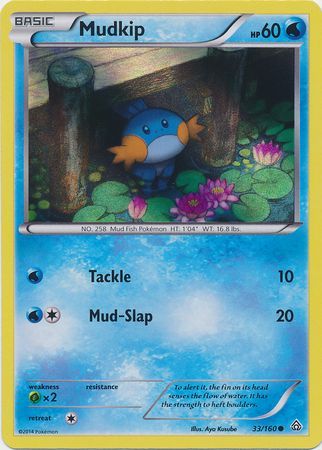 Mudkip (33/160) (Sheen Holo) [XY: Primal Clash] | Exor Games Dartmouth