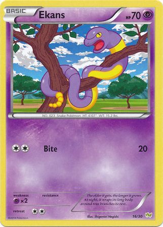 Ekans (16/30) [XY: Trainer Kit - Noivern] | Exor Games Dartmouth