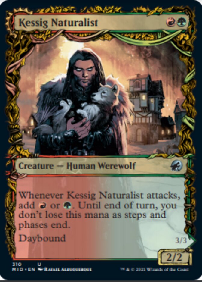 Kessig Naturalist // Lord of the Ulvenwald (Showcase Equinox) [Innistrad: Midnight Hunt] | Exor Games Dartmouth