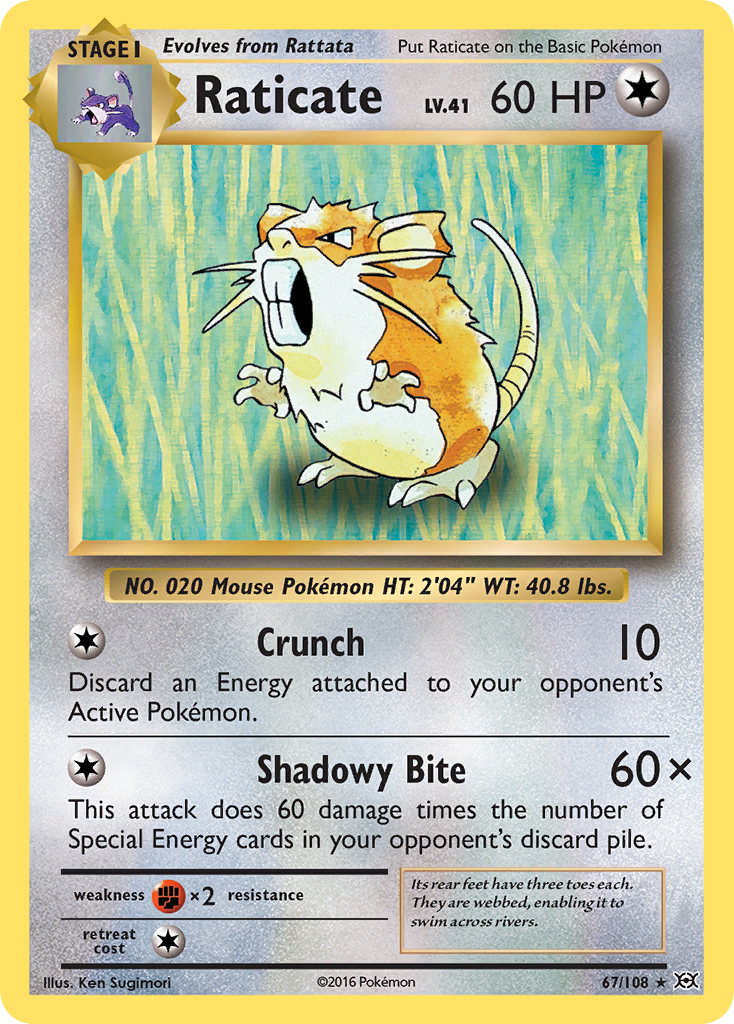 Raticate (67/108) [XY: Evolutions] | Exor Games Dartmouth