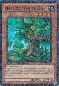 Naturia White Oak [DT04-EN081] Super Rare | Exor Games Dartmouth