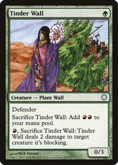 Tinder Wall [Coldsnap Theme Decks] | Exor Games Dartmouth