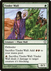 Tinder Wall [Coldsnap Theme Decks] | Exor Games Dartmouth