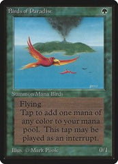 Birds of Paradise [Limited Edition Beta] | Exor Games Dartmouth
