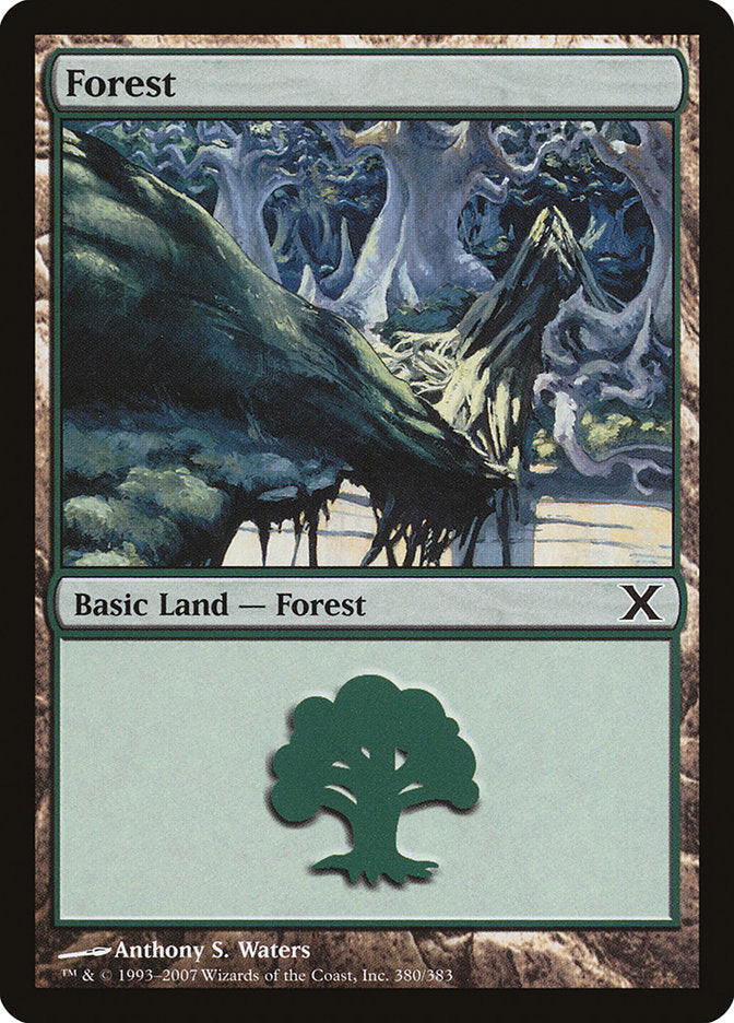 Forest (380) [Tenth Edition] | Exor Games Dartmouth