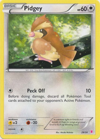 Pidgey (29/30) [XY: Trainer Kit 1 - Wigglytuff] | Exor Games Dartmouth