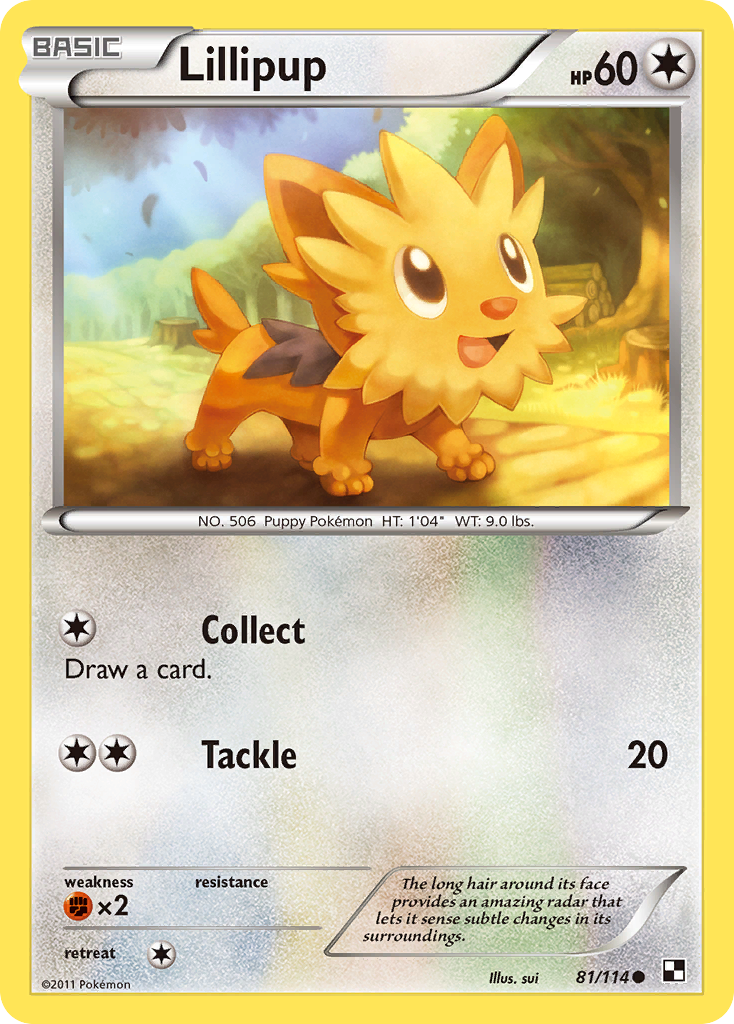 Lillipup (81/114) [Black & White: Base Set] | Exor Games Dartmouth