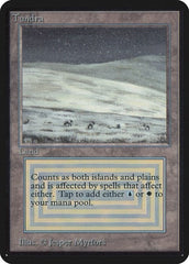 Tundra [Limited Edition Alpha] | Exor Games Dartmouth