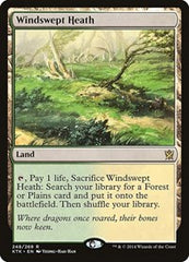 Windswept Heath [Khans of Tarkir] | Exor Games Dartmouth
