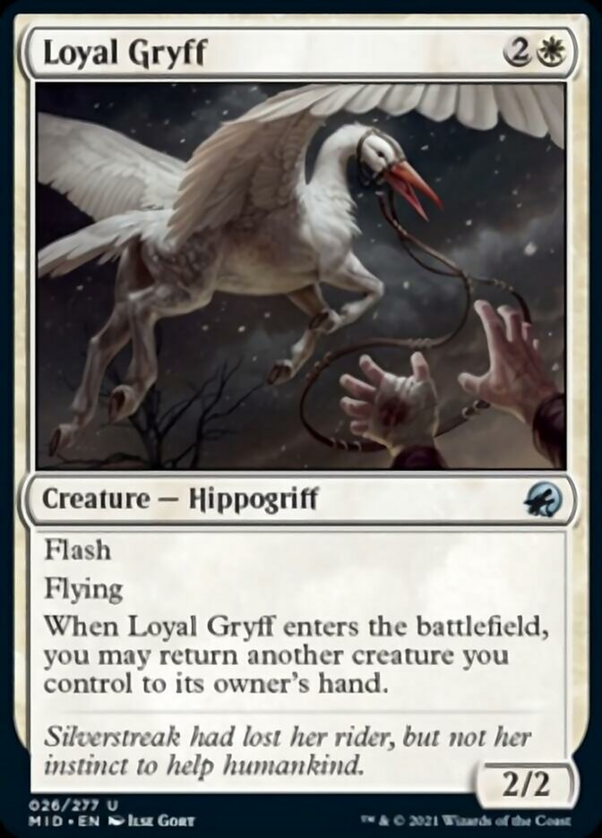 Loyal Gryff [Innistrad: Midnight Hunt] | Exor Games Dartmouth