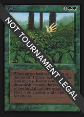 Kudzu (IE) [Intl. Collectors’ Edition] | Exor Games Dartmouth