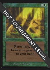 Regrowth (CE) [Collectors’ Edition] | Exor Games Dartmouth