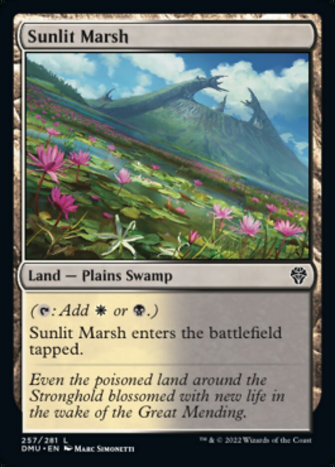 Sunlit Marsh [Dominaria United] | Exor Games Dartmouth