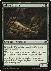 Algae Gharial [Modern Masters 2015] | Exor Games Dartmouth