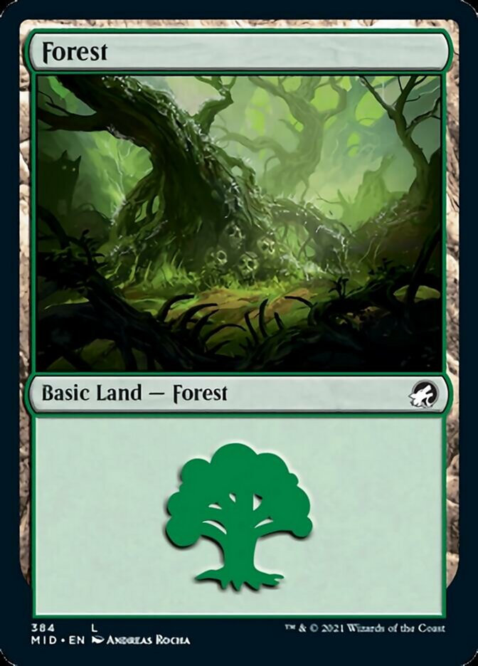 Forest (384) [Innistrad: Midnight Hunt] | Exor Games Dartmouth