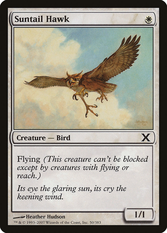 Suntail Hawk [Tenth Edition] | Exor Games Dartmouth