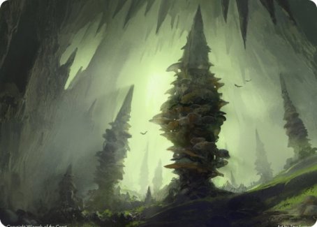 Forest (280) Art Card [Dungeons & Dragons: Adventures in the Forgotten Realms Art Series] | Exor Games Dartmouth