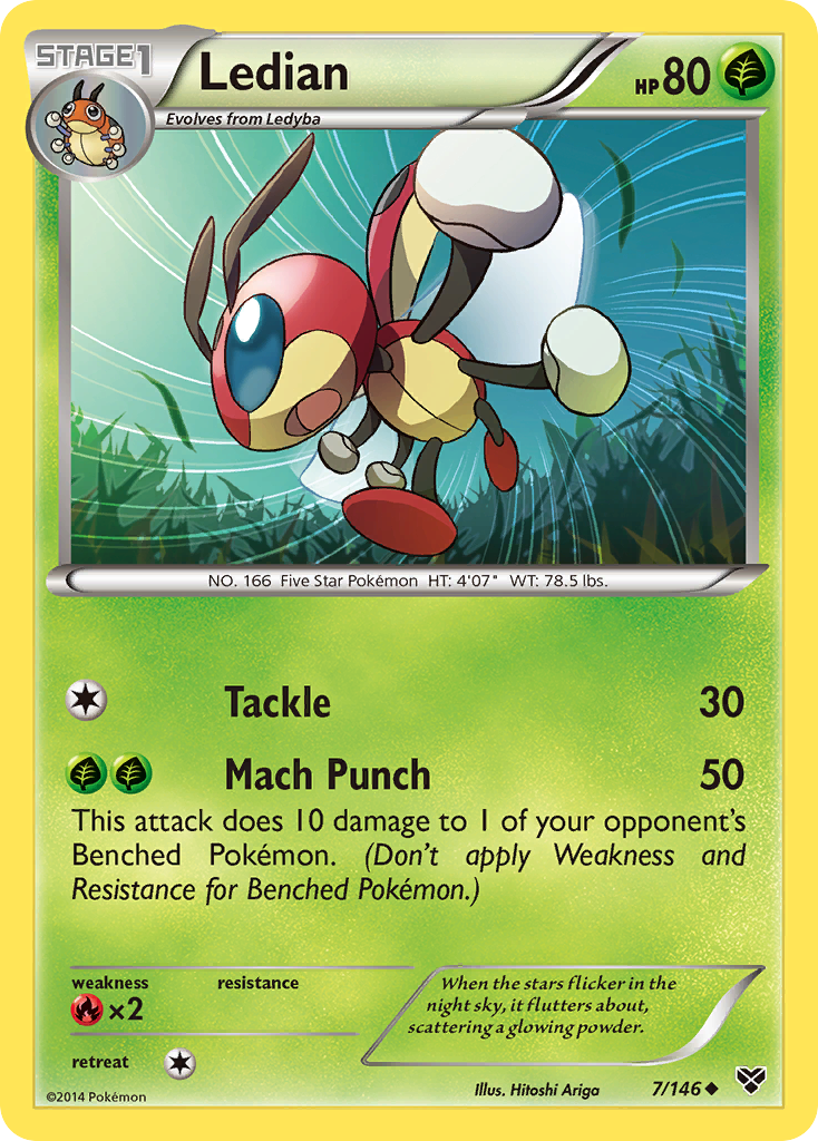 Ledian (7/146) [XY: Base Set] | Exor Games Dartmouth