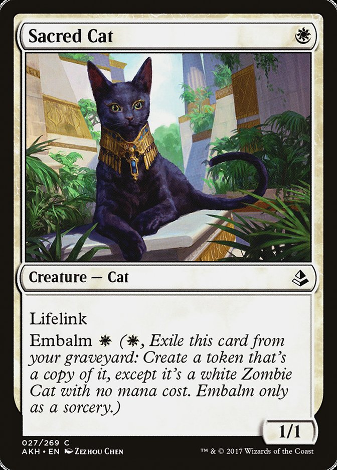 Sacred Cat [Amonkhet] | Exor Games Dartmouth