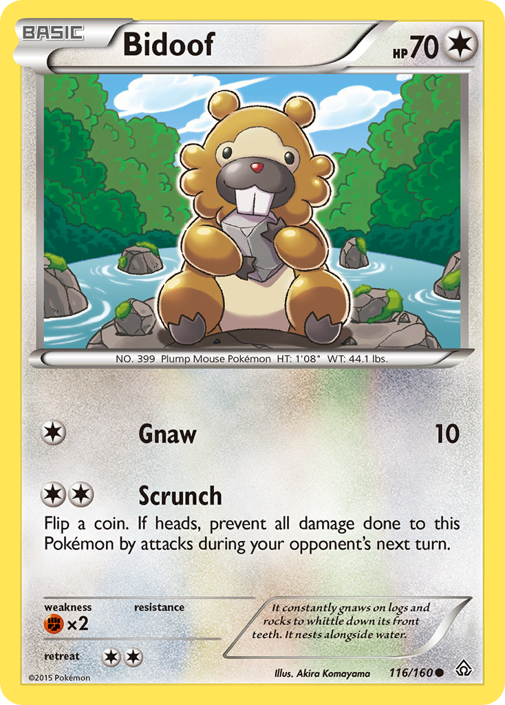 Bidoof (116/160) [XY: Primal Clash] | Exor Games Dartmouth