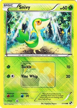 Snivy (1/114) (League Promo) [Black & White: Base Set] | Exor Games Dartmouth